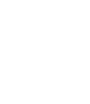 Brand Elite Footer Logo