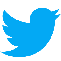 Twitter Logo - Brand Elite
